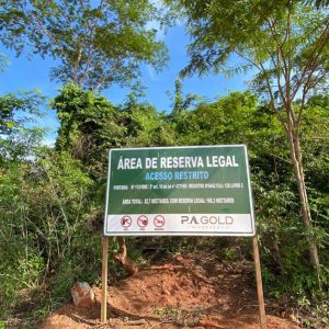 Meio-Ambiente-P.A-Gold_0000_Sustentabilidade.jpeg Meio-Ambiente-P.A-Gold_0000_Sustentabilidade.jpeg